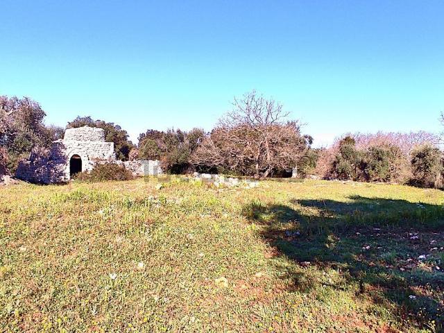 Rustico in vendita a Puglia, Brindisi