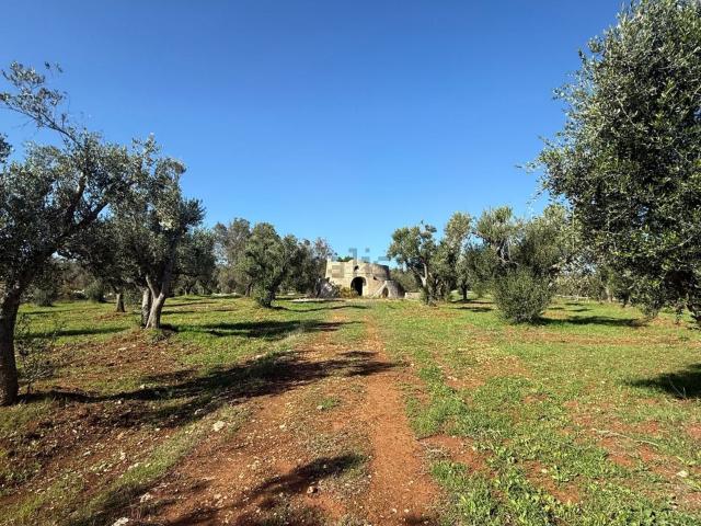 Rustico in vendita a Puglia, Brindisi