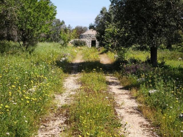 Rustico in vendita a Puglia, Brindisi