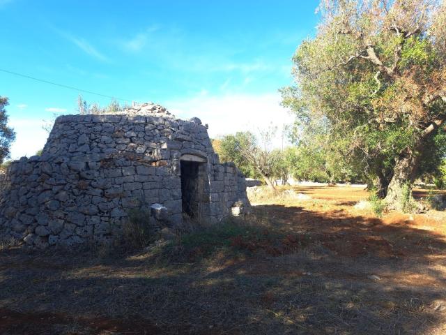 Rustico in vendita a Puglia, Brindisi
