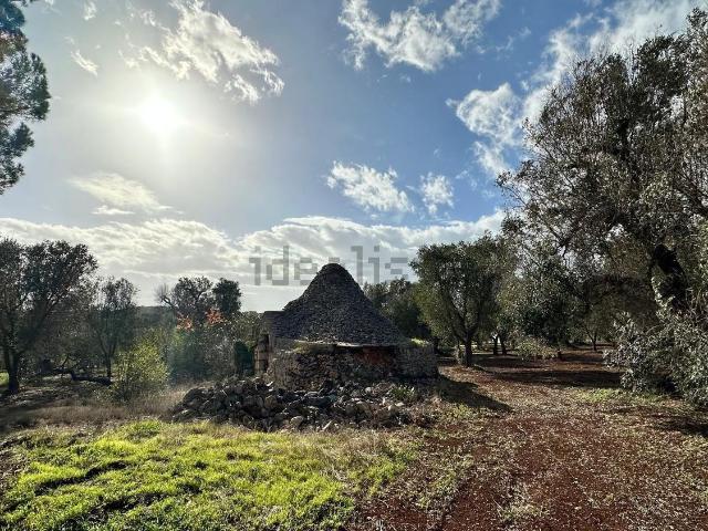 Rustico in vendita a Ostuni, Brindisi