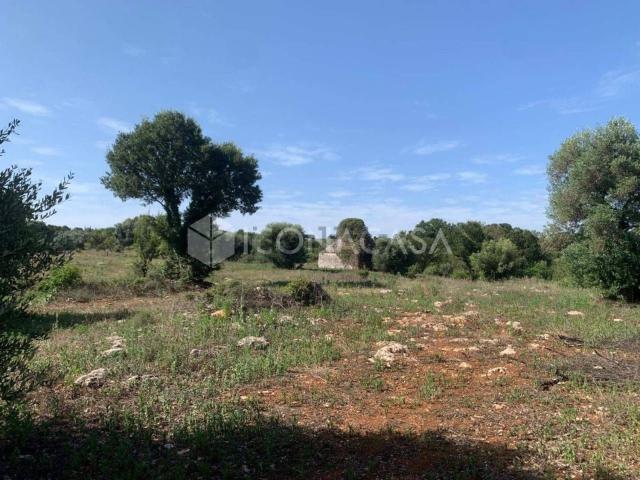 Rustico in vendita a Santa Lucia, Puglia