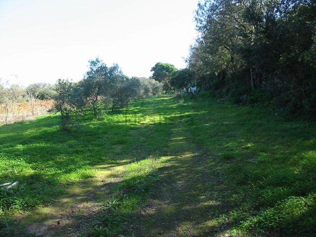 Rustico in vendita a Sant'antioco, Sardigna/Sardegna