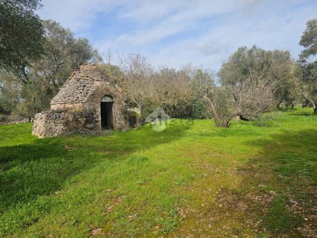 Rustico in vendita a Puglia, Brindisi
