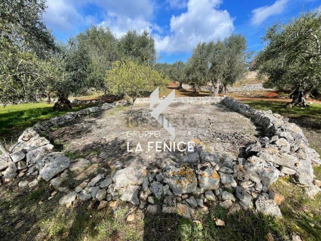 Rustico in vendita a Puglia, Brindisi