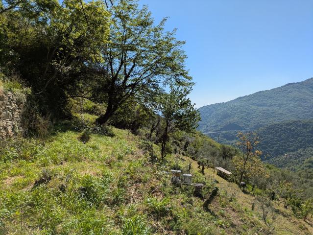 Rustico in vendita a Lago, Sori