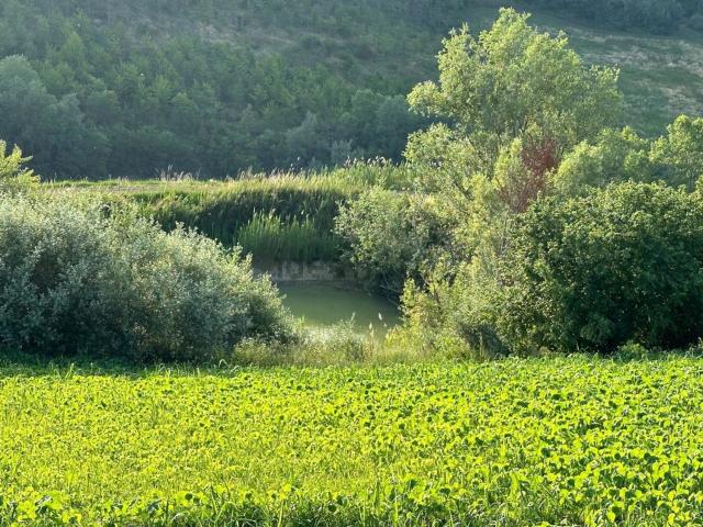 Rustico in vendita a Atri, Abruzzo