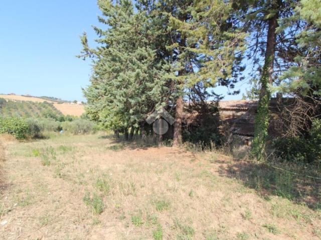 Rustico in vendita a Villa Raspa, Spoltore