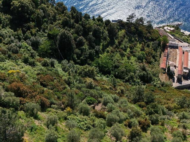 Rustico in vendita a Riomaggiore, Liguria