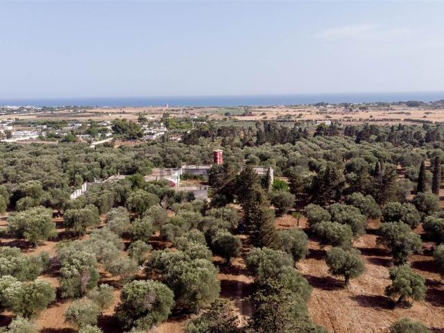 Rustico in vendita a Puglia, Taranto