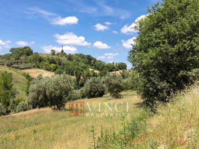 Rustico in vendita a Marche, Fermo