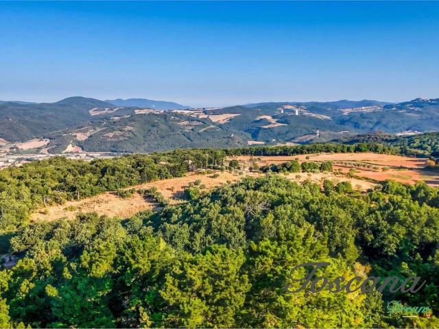 Rustico in vendita a Sasso Pisano, Castelnuovo di Val di Cecina