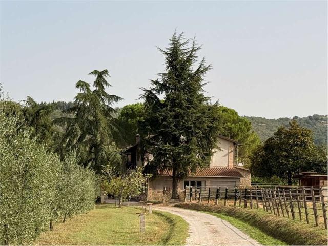 Rustico in vendita a Magione, Umbria