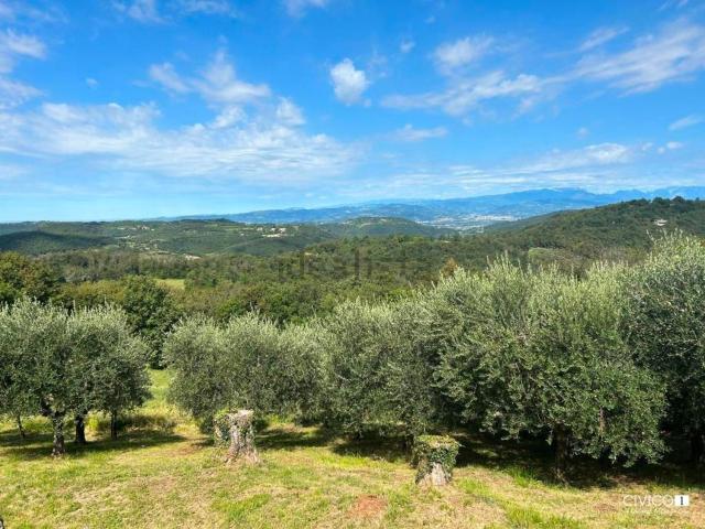 Rustico in vendita a Villaga, Veneto