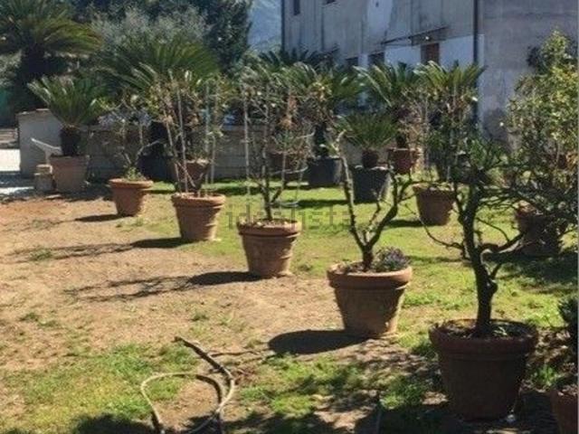 Rustico in vendita a Crociale, Tonfano
