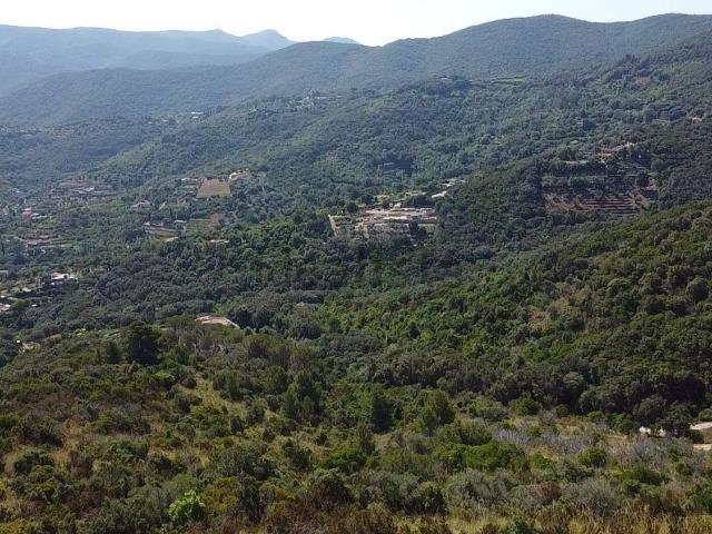 Rustico in vendita a Monte Argentario, Cala Moresca