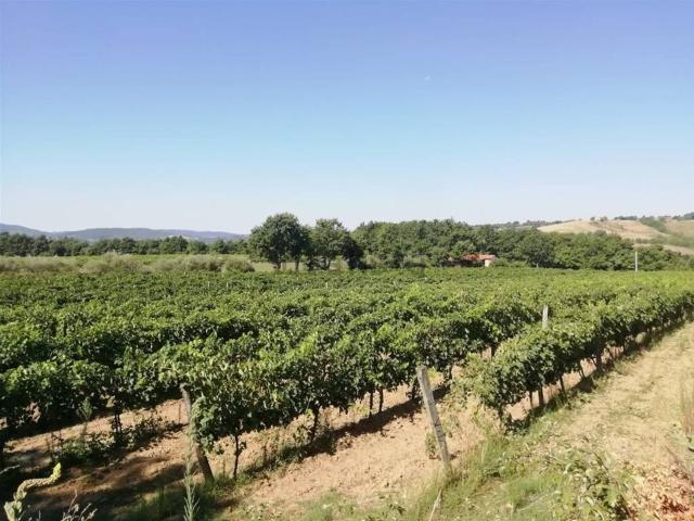 Rustico in vendita a Unione di Comuni Montani Colline del Fiora, Sorano