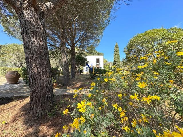 Rustico in vendita a Ostuni, Brindisi