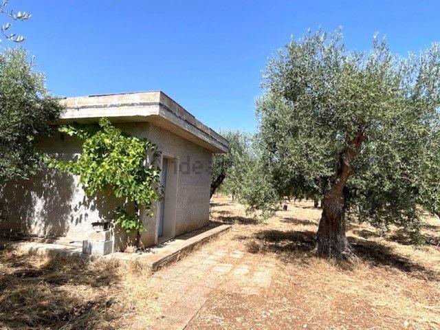 Rustico in vendita a Puglia, Bari