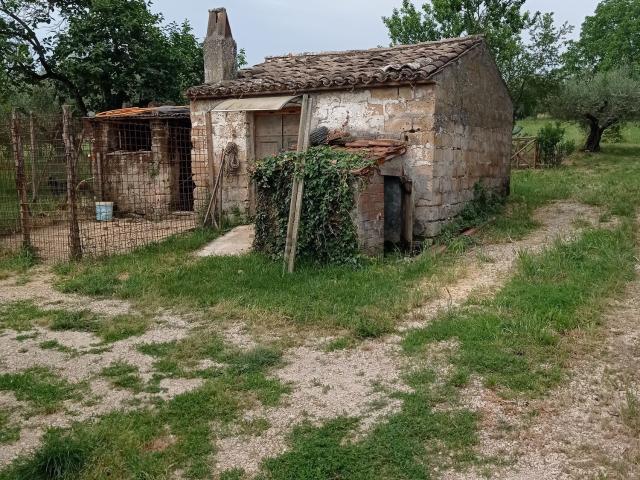 Rustico in vendita a Civitella D'agliano, Lazio