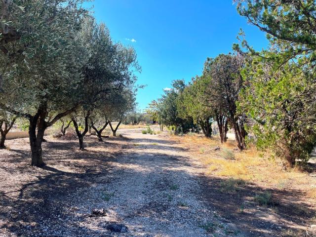 Rustico in vendita a Puglia, Foggia