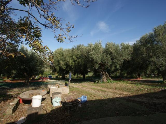 Rustico in vendita a Calabria, Vibo Valentia