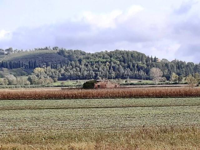Rustico in vendita a Cetona, Siena