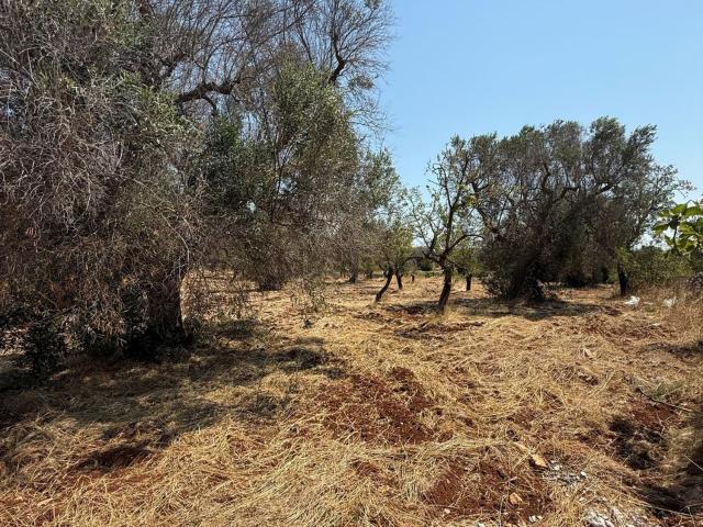 Rustico in vendita a Contrada Spierti, Puglia
