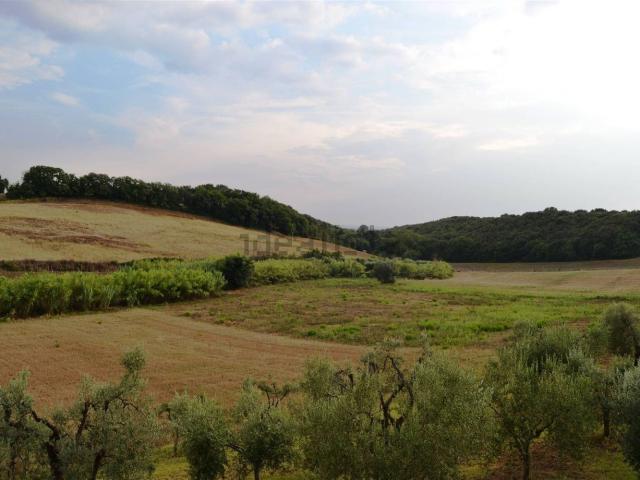 Rustico in vendita a Casale Marittimo, Toscana