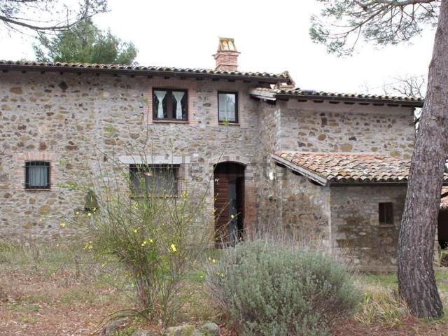 Rustico in vendita a San Venanzo, Umbria