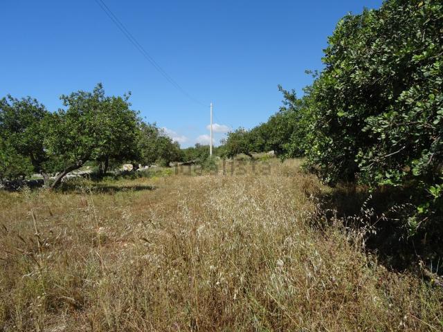Rustico in vendita a Marina Di Modica, Sicilia