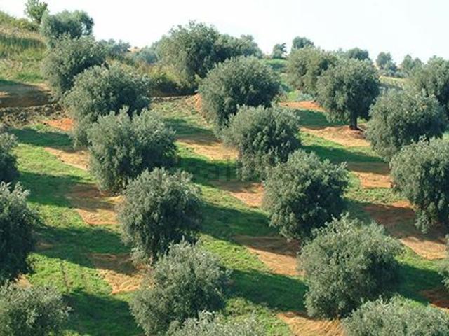 Rustico in vendita a Refrontolo, Veneto