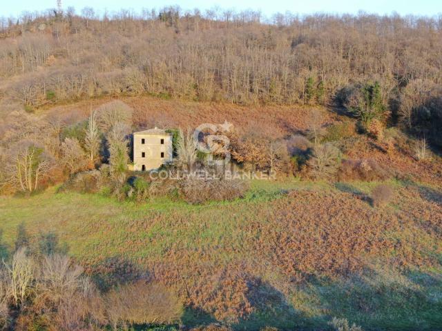 Rustico in vendita a Latera, Lazio