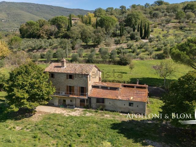 Rustico in vendita a Cortona, Toscana