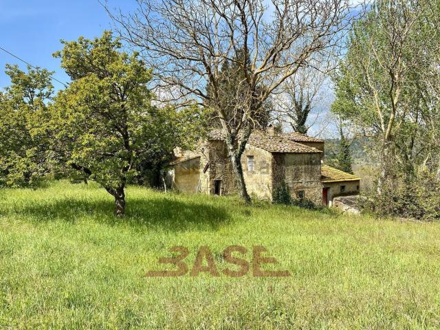 Rustico in vendita a Montescudaio, Toscana