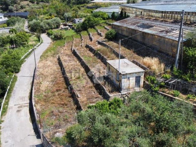 Rustico in vendita a San Biagio Della Cima, Liguria