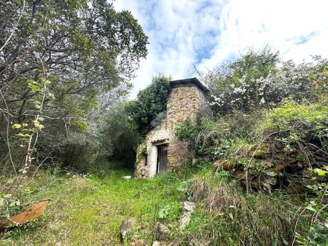 Rustico in vendita a Vallebona, Liguria