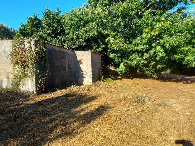 Rustico in vendita a Colle del Fico, Roma Capitale