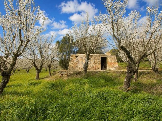 Rustico in vendita a Cisternino, Brindisi