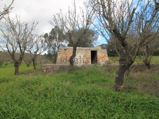 Rustico in vendita a Puglia, Brindisi