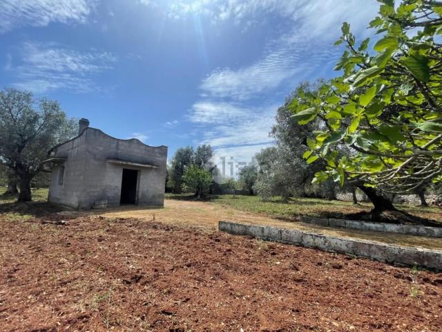 Rustico in vendita a Ceglie Messapica, Brindisi