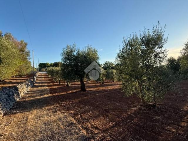 Rustico in vendita a Ceglie Messapica, Brindisi