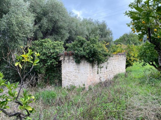 Rustico in vendita a Puglia, Foggia