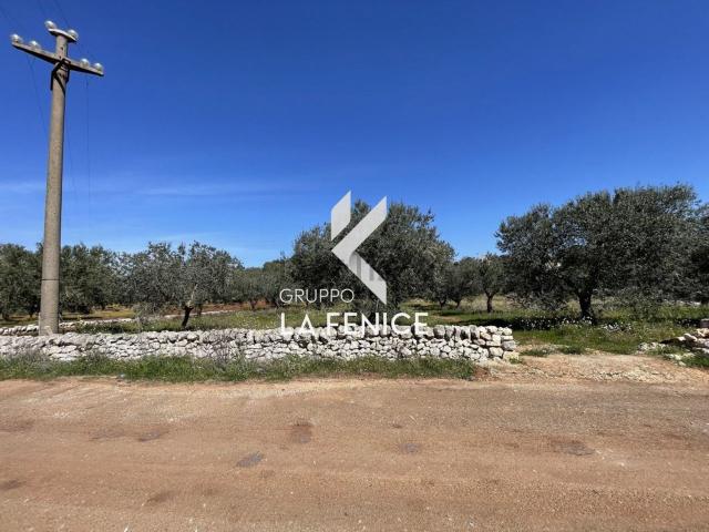 Rustico in vendita a Puglia, Brindisi