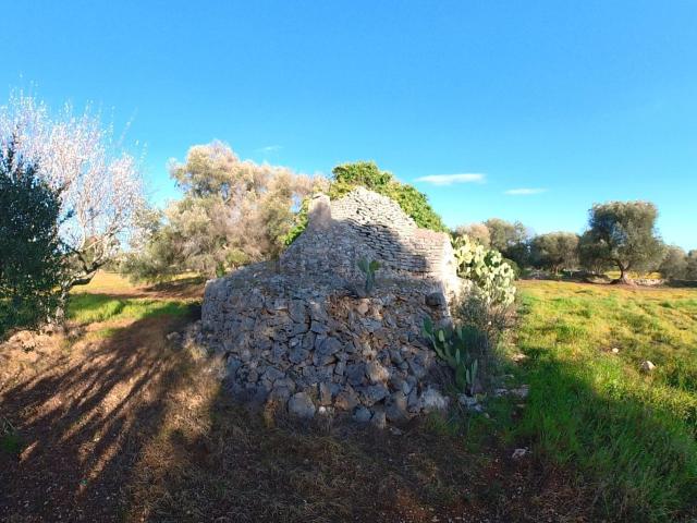 Rustico in vendita a Puglia, Brindisi