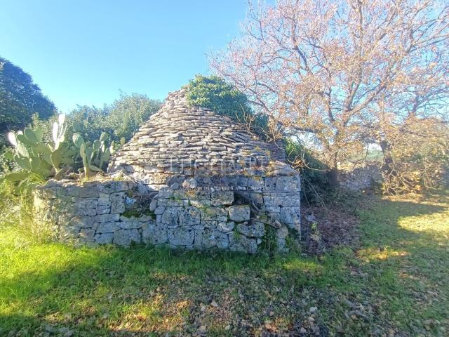 Rustico in vendita a Puglia, Bari