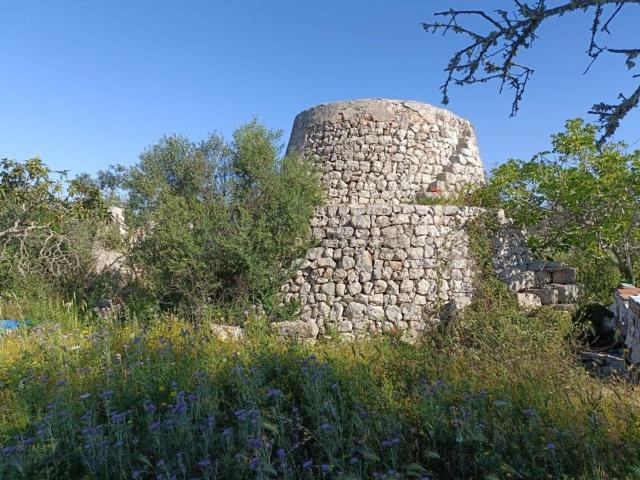 Rustico in vendita a Puglia, Lecce