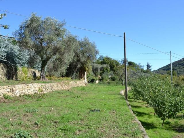 Rustico in vendita a Baiardo, Liguria