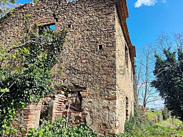 Rustico in vendita a Riparbella, Toscana