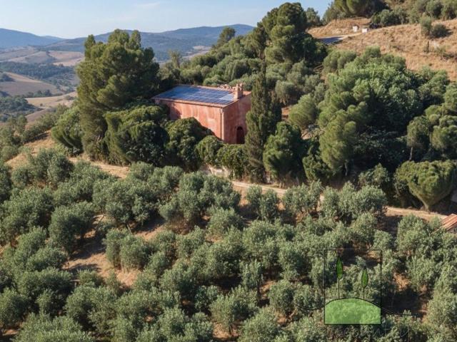 Rustico in vendita a Montemagno, Calci